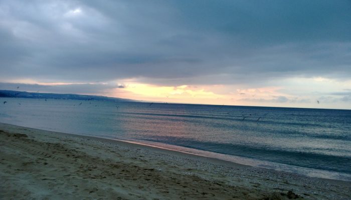 WP_20130830_06_38_27_SmartShoot