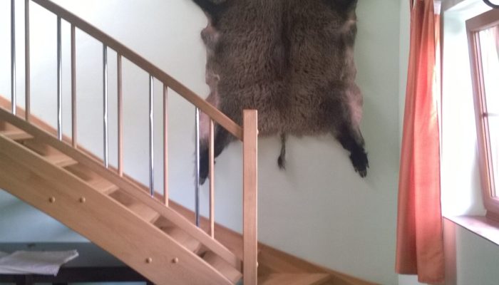 WP_20150824_15_28_01_Pro