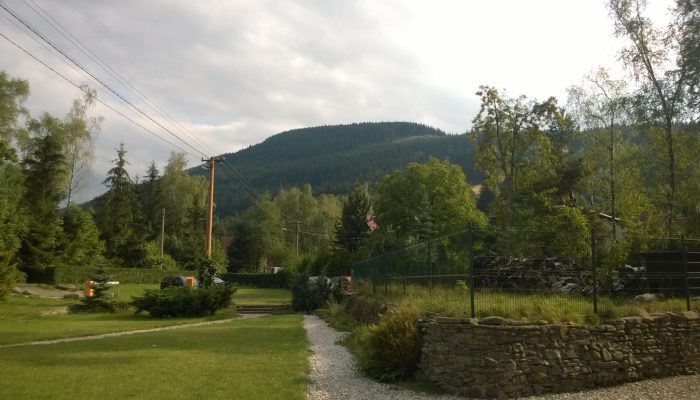 WP_20150824_16_41_17_Pro