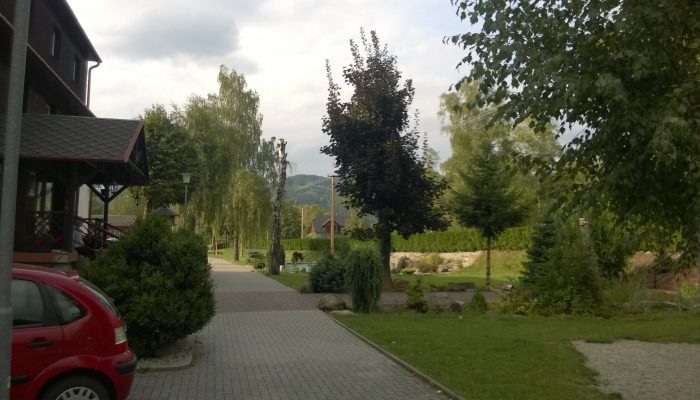 WP_20150824_16_41_59_Pro