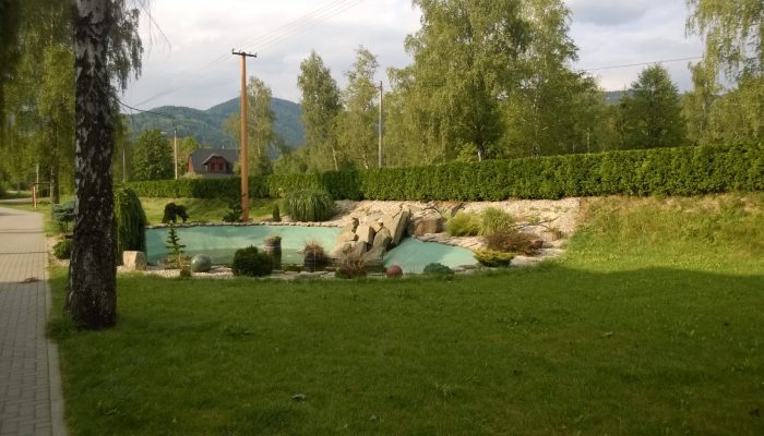 WP_20150824_16_42_48_Pro