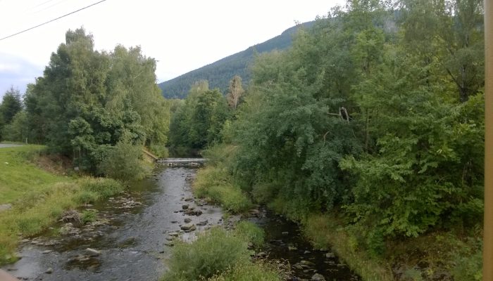 WP_20150824_16_52_58_Pro