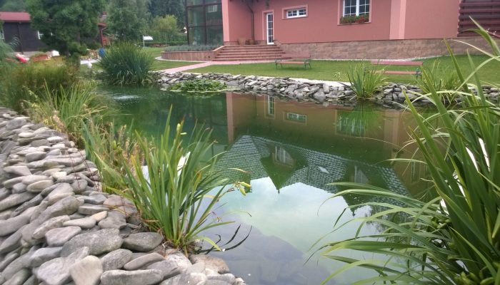 WP_20150824_18_22_45_Pro