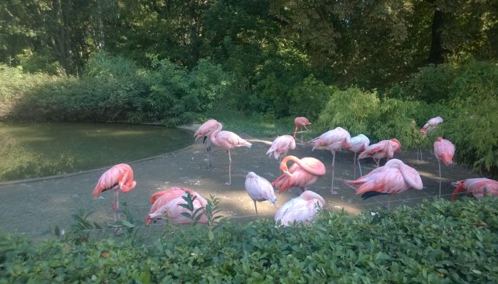 WP_20150826_10_19_34_Pro