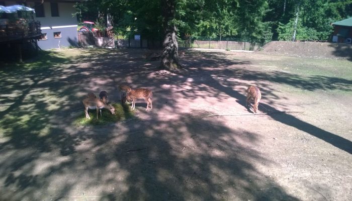 WP_20150826_10_29_16_Pro