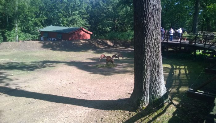 WP_20150826_10_29_25_Pro