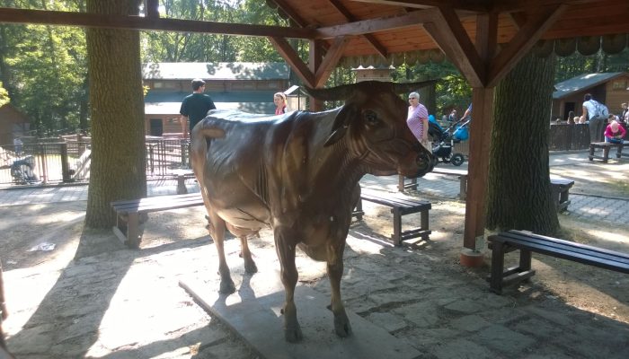 WP_20150826_10_33_08_Pro