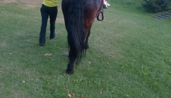 WP_20150827_19_19_42_Pro