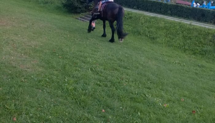 WP_20150827_19_19_46_Pro