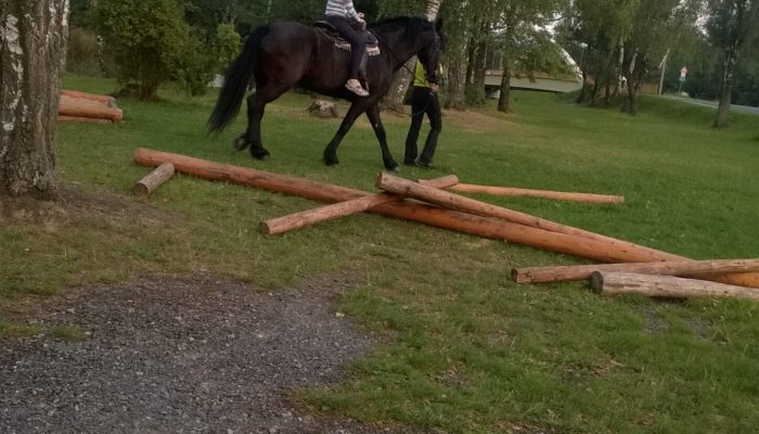 WP_20150827_19_21_23_Pro