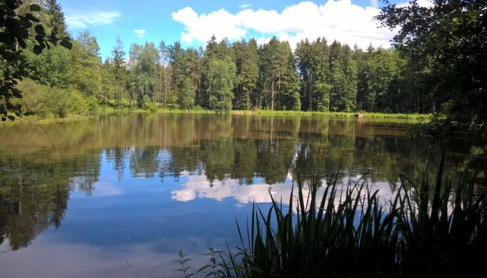 WP_20160618_16_16_26_Pro