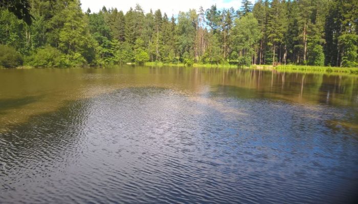 WP_20160618_16_20_19_Pro