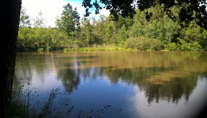 WP_20160618_16_21_46_Pro