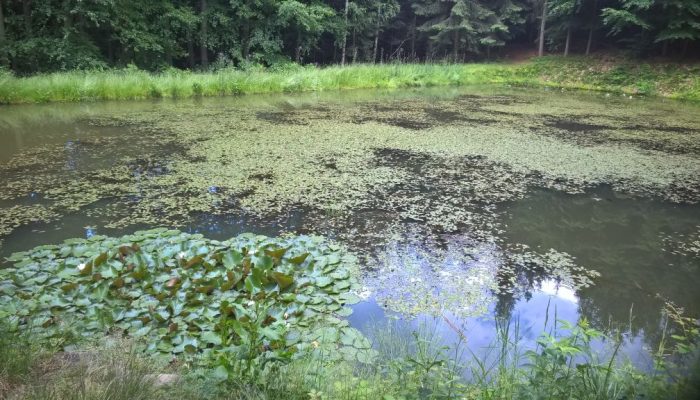 WP_20160618_17_30_16_Pro