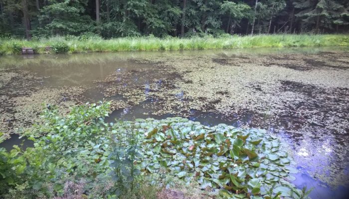 WP_20160618_17_30_35_Pro