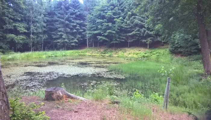 WP_20160618_17_32_49_Pro