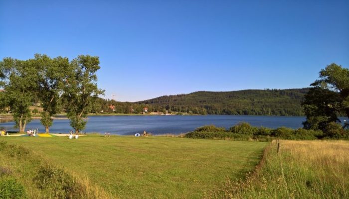 WP_20180630_18_22_51_Rich