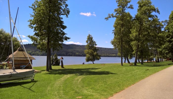 WP_20180701_11_54_53_Rich