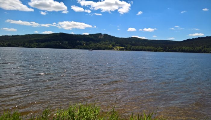 WP_20180701_11_56_06_Rich