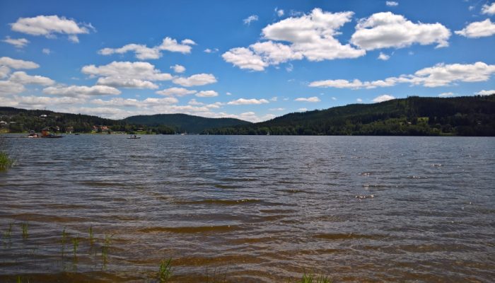 WP_20180701_11_57_06_Rich