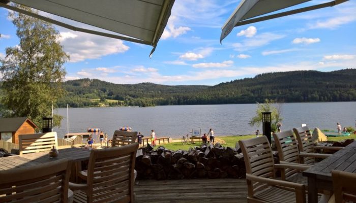 WP_20180703_17_05_39_Rich