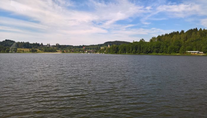 WP_20180704_10_19_25_Rich