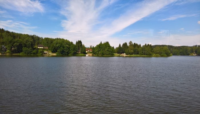 WP_20180704_10_27_50_Rich