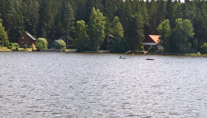 WP_20180704_11_16_48_Rich