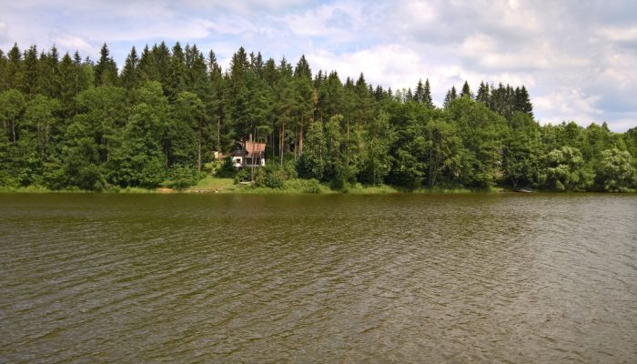 WP_20180704_11_24_05_Rich