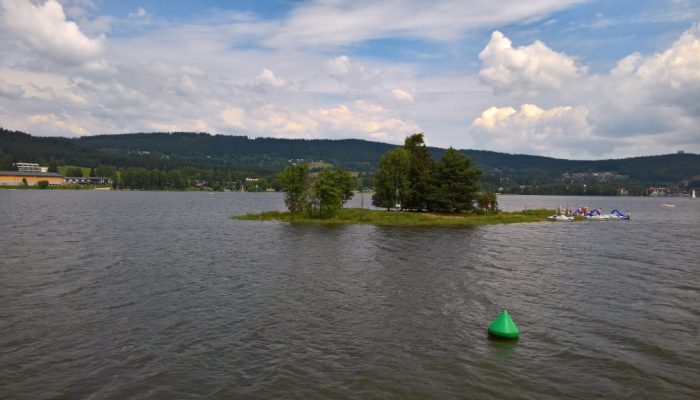 WP_20180704_11_49_54_Rich